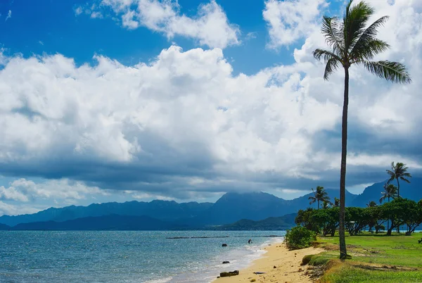 Пляжний парк з видом на море та пальмами — стокове фото
