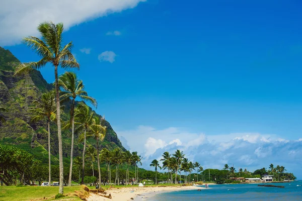 Praia Parque vista para o mar com palmeiras — Fotografia de Stock