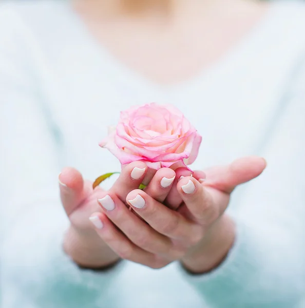 Kvinna händer med rosa blomma Royaltyfria Stockfoton