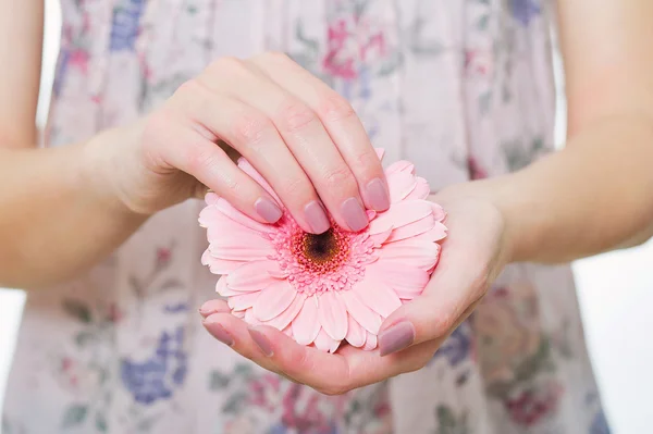 Manikúra a růžová sedmikráska — Stock fotografie