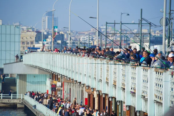 Galata Köprüsü'nde balıkçılar ondan olta balıkçılığı ile