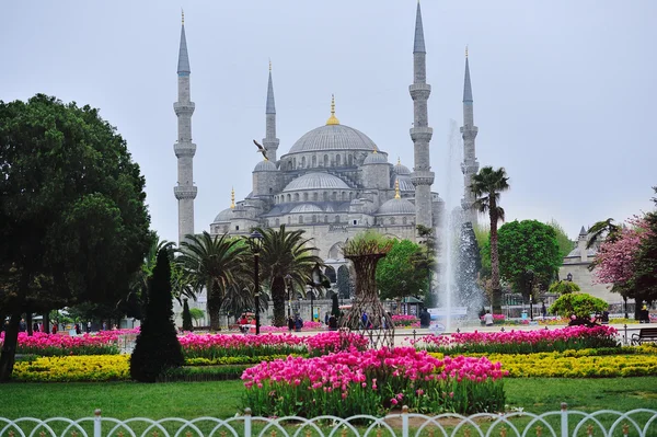 Hagia Sophia widok z parku — Zdjęcie stockowe