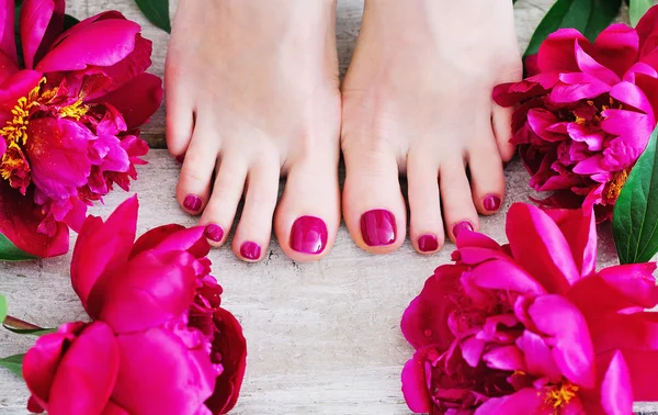 Pink nails and peonies — Stock Photo, Image