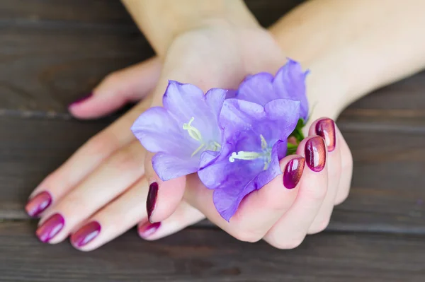 Rosa Maniküre und lila Blüten — Stockfoto