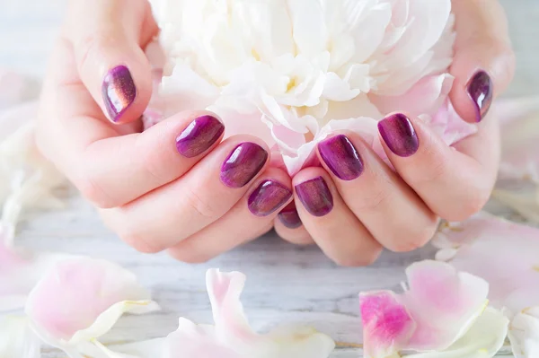 Pink manicure and peony — Stock Photo, Image
