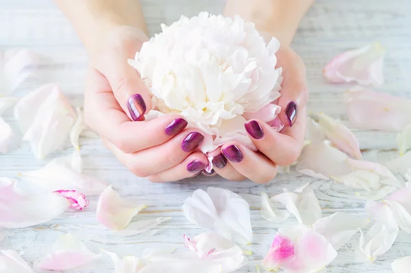 Manicured fingernails and flowers — Stock Photo, Image