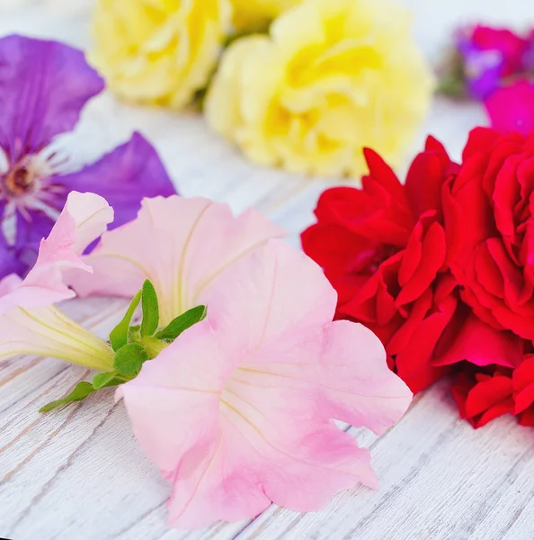 Krásné květiny uspořádání — Stock fotografie