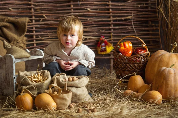 Boy with pumpkins — Stock Photo, Image