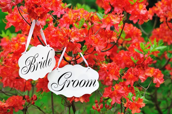 Menyasszony és a vőlegény dekorációs táblák — Stock Fotó