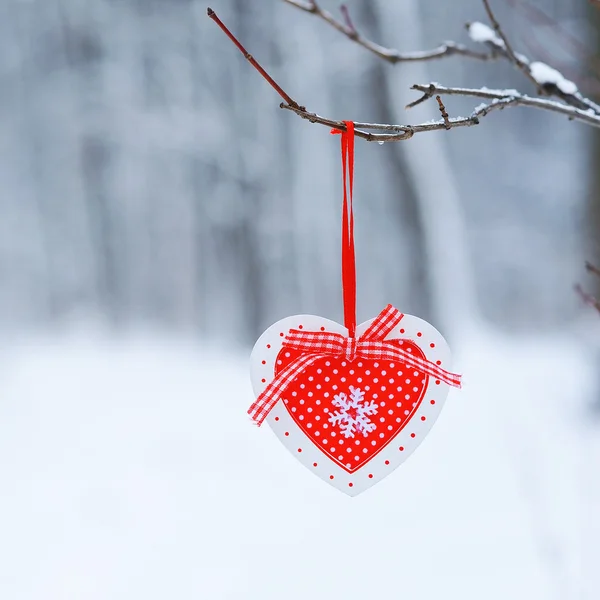Red decor heart hanging on thee branch — Stock Photo, Image