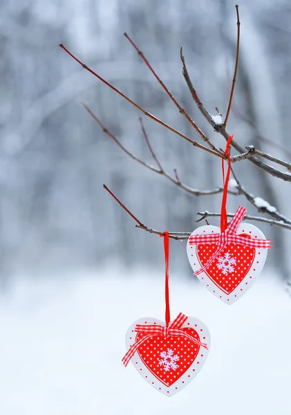 Red decor hearts hanging on thee branch — Stock Photo, Image