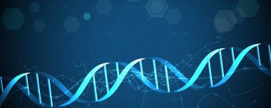 Modern DNA tasarımı, sinirsel yollar, moleküler iplikler.