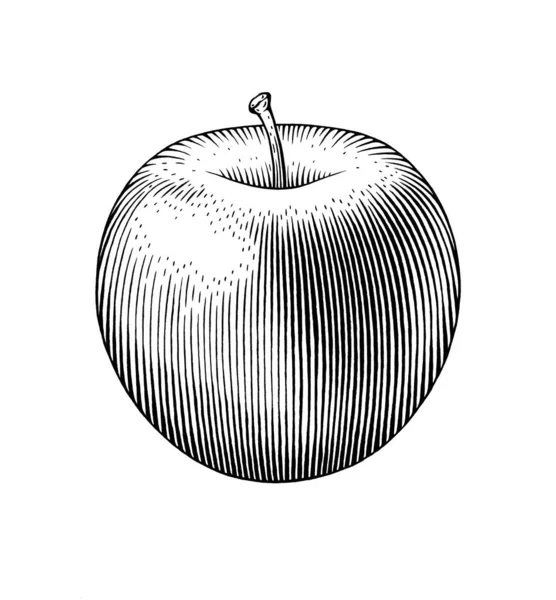 Hand drawn ink black and white illustration of an apple. — Stock Photo, Image