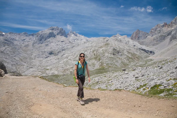 Mujer trekking buscando en Picos de Europa —  Fotos de Stock