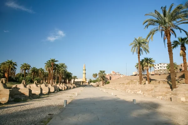 Avenida de Luxor a Karnak — Fotografia de Stock