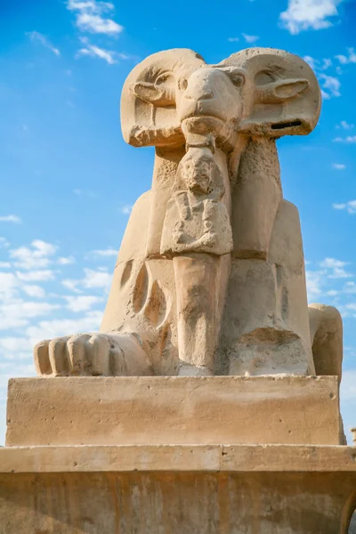 Єгипетські барана-Сфінкс — стокове фото