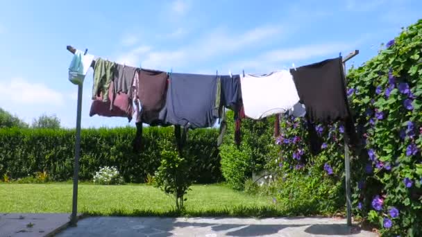 Exterieur waslijn naast groene tuin en de blauwe hemel — Stockvideo