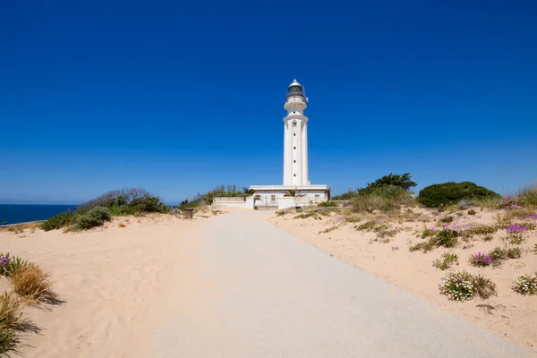 Eenzame Onverharde Weg Met Zand Naar Vuurtoren Van Cape Trafalgar — Stockfoto