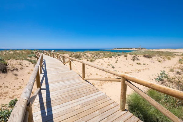 Landschaft Der Fußgängerbrücke Mit Holzplanken Und Geländer Zur Erhaltung Der — Stockfoto