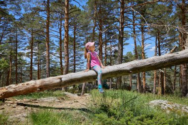 Guadarrama Doğal Parkı 'nda (Madrid, İspanya) çam ağacı gövdesinde oturan yedi yaşında bir çocuk.)