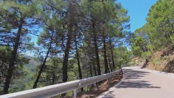 Punto Vista Conduciendo Por Estrecha Carretera Rural Sierra Bermeja Montaña — Vídeo de stock