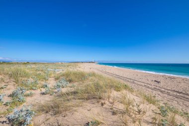 Zahora ve Cala Isabel 'in vahşi doğal kumsalları, Canos Meca köyü (Barbate, Cadiz, Endülüs, İspanya) ve Cape Trafalgar' ın deniz feneriyle çevrili sahneleri.