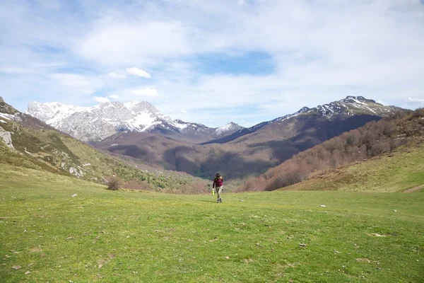 Walking on prairie at Picos de Europa — Stock Photo, Image