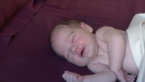 Newborn dreaming happy to cry — Stock Video