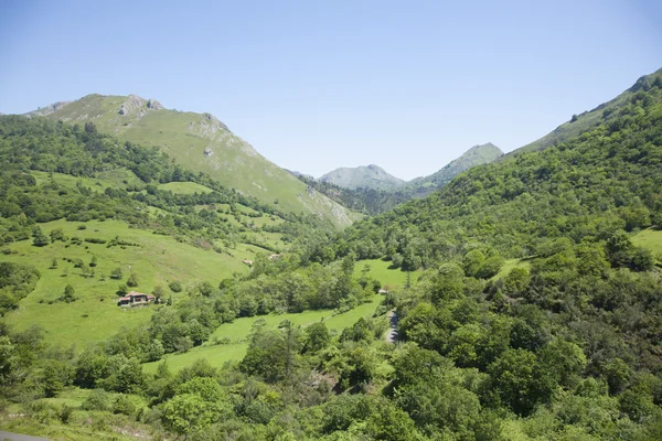 Asturiska gröna berg — Stockfoto