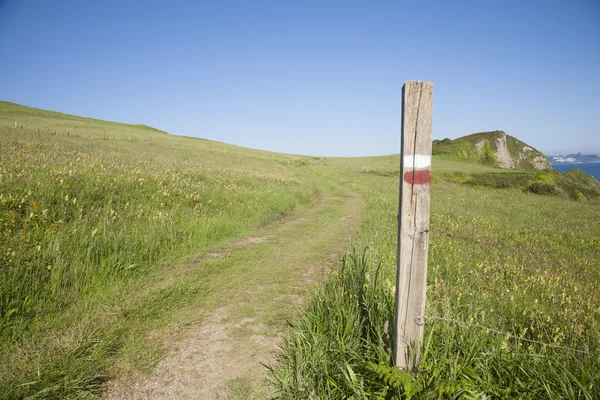 Trekking wood signpost — Stock Photo, Image