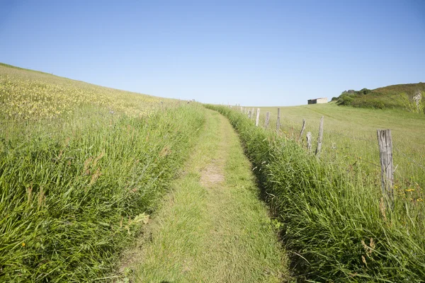 Rural path — Stock Photo, Image