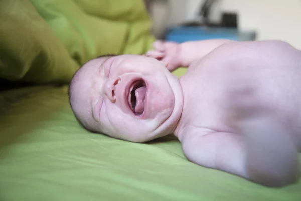 Nyfödda barnet gråter på gröna bedcover — Stockfoto