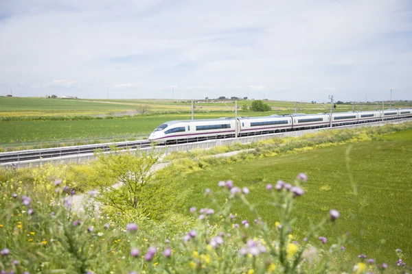 Schnellzug in der Landschaft — Stockfoto