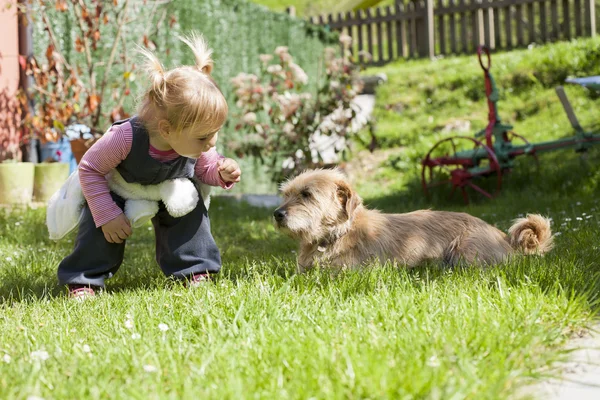 baby approaching a dog