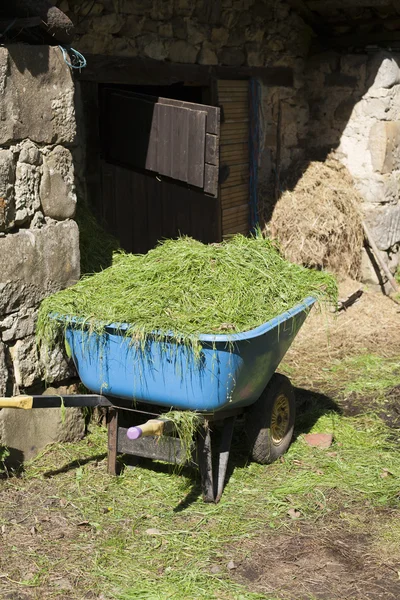 Carriola con erba — Foto Stock