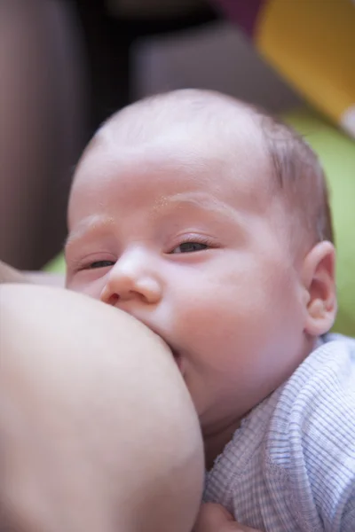 Face newborn breastfeeding — ストック写真