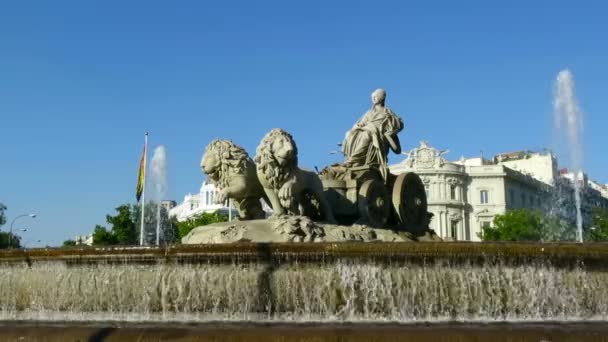 Cibeles fountain in Madrid — Stock Video
