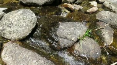 dere ve taşlar detay