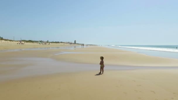 Baby walking at beach — Stock Video