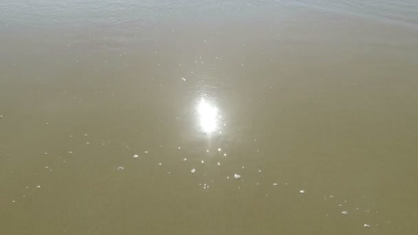 Soleil dans la plage de sable — Video