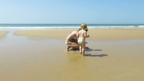 Mujer y bebé recolectando conchas marinas — Vídeo de stock