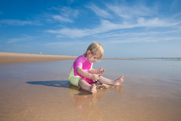 Bebê contando conchas do mar — Fotografia de Stock