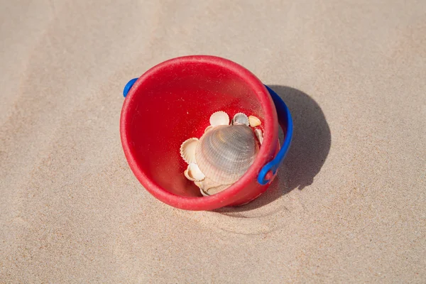 Red bucket on sand with sea shells — Stock Photo, Image