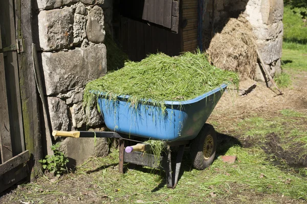 Schubkarre mit Gras waagerecht — Stockfoto