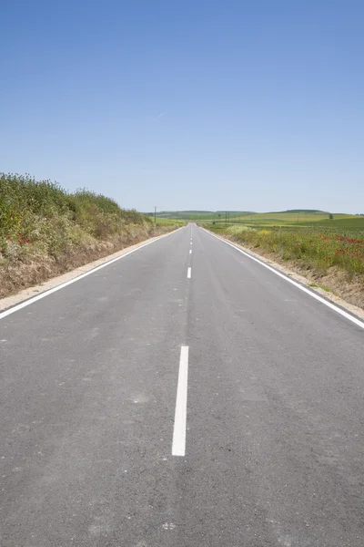 Straight spanish rural road — Stock Photo, Image