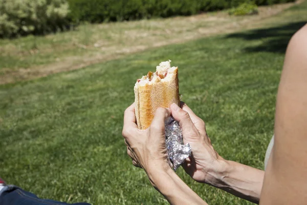 Schinkenpanini auf dem Gras — Stockfoto