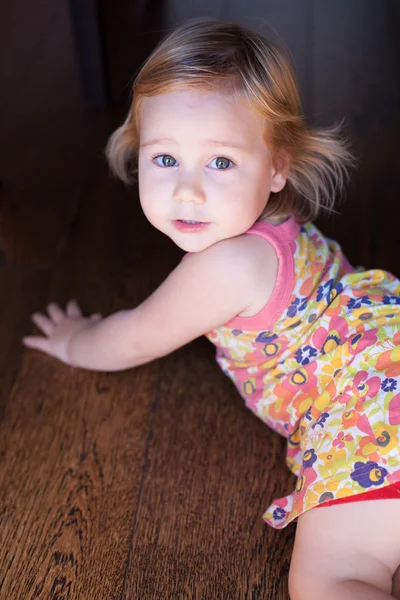 Joli Portrait De Bebe Brun Charmant Stock Photo Joli Portrait De Bebe Brun Charmant Stock Photo