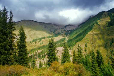 yol kaindy Gölü tien shan dağ, Kazakistan.