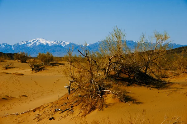 Dunas de arena en el parque nacional del desierto Altyn-Emel, Kazajstán. Azul. — Foto de Stock