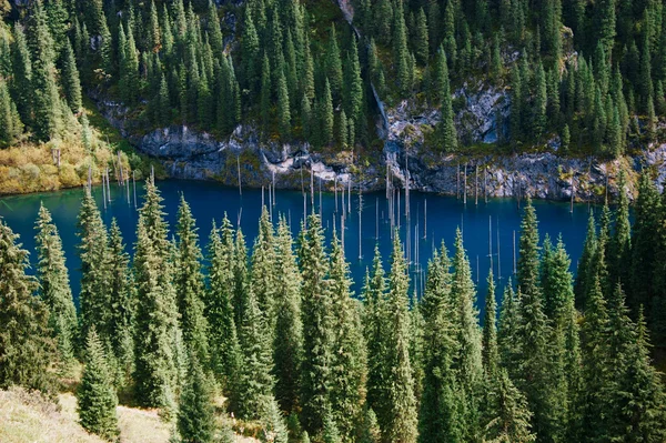 Kaindy jezioro w górach Tienszan, Kazachstan. widok z góry — Zdjęcie stockowe